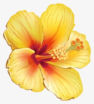Tropical - Transparent Tropical Flower Png #118316