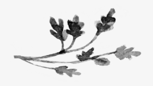 Branch - Leaf #118625