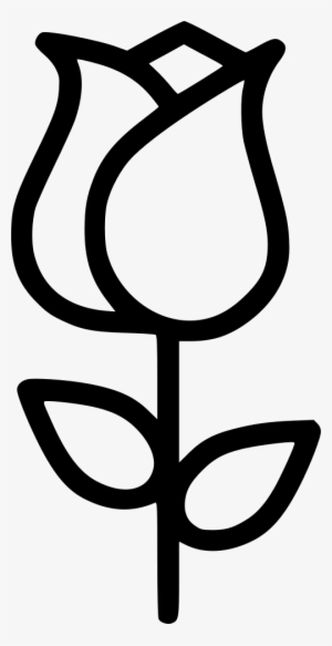 Romantic Valentine Day Rose Lotus Flower Comments - Portable Network Graphics #118845