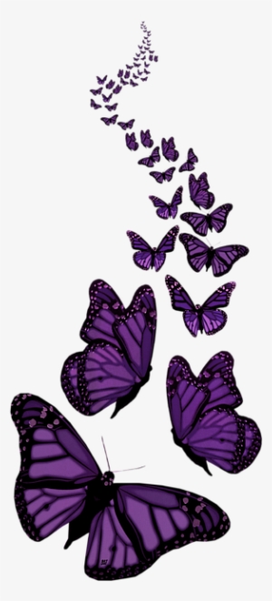Featured image of post Transparent Background Colorful Butterflies Png : Butterfly, pink butterfly background, pink butterflies, cosmetics, heart png.