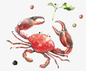 Crabs Drawing Watercolor - 手繪 海鮮 #118981
