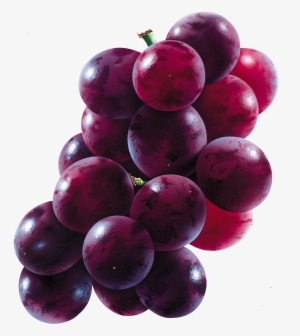 Free Png Red Grapes Png Images Transparent - Grapes Png #119008