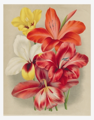 085 222e2c73 3f64 4002 94d5 1ba9b45715f8 V=1527866654 - Botany #119281