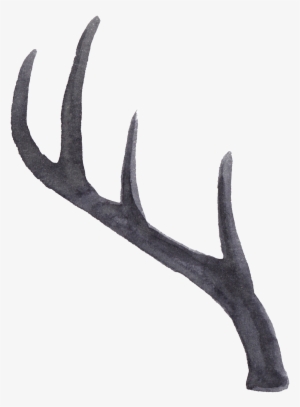 Portable Network Graphics #119915