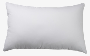 Pillow Png Transparent - Downright Innutia White Goose Down Pillow - Soft Fill #119998