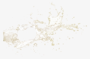 Award Winning - Psd #1100080