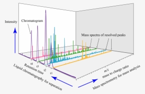 Liquid Chromatography Ms Spectrum 3d Analysis - Liquid Chromatography–mass Spectrometry #1100329