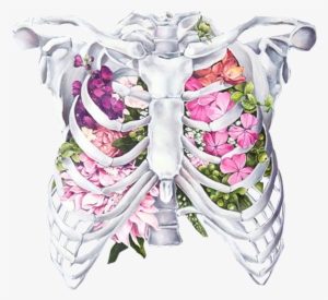 Skinny Drawing Rib Cage Clip Transparent Library - Creative Human Body Drawing #1101148