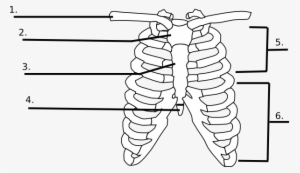Og Skeletor Phone Case - Iphone 6 Plus #1101243