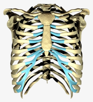 The Player Is Having Trouble - Rib #1101248
