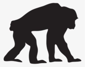 Chimpanzee Clipart Student - Chimpanzee Clipart Black #1101447