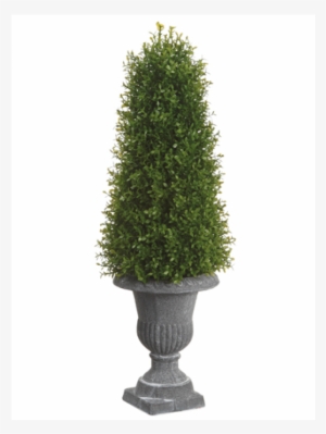 20" Tea Leaf Cone Topiary In Paper Mache Urn Green #1101801