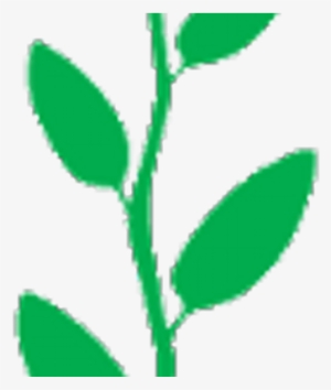 Tea Leaf #1101822 Tea Leaf #1101822