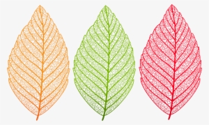 Transparent Leaves Set Png Clip Art Image - Transparent Leaves #1103548