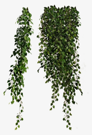 Descargar - Cottingley Secret By Hazel Gaynor #1103583