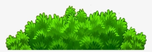 Plantas Png - Illustration #1103613
