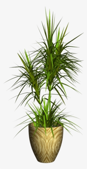 0 9ddb2 3c07bae1 Xxl Plantas Para Decorar, Recibo, - Plantas En Formato Png #1103645