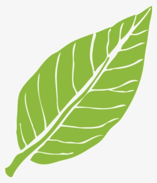 Ladybugs On A Leaf Shower Curtain #1103707