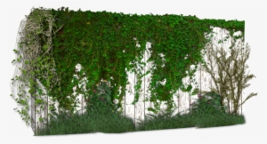 Photoshop Enredadera #1103863