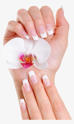 Nails Express #1104119