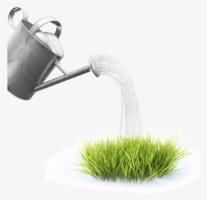 Es Muy Probable Que Las Plantas Sufran Algunos Daños - Sac Gazon Rapide Perfect Grass Canada Green 1kg - Probache #1104121