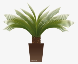 Plantas De Ornato - Plantas De Ornato Png #1104223