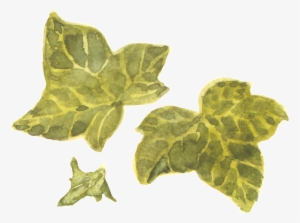 Green Leaves Transparent - Watercolor Painting #1104348