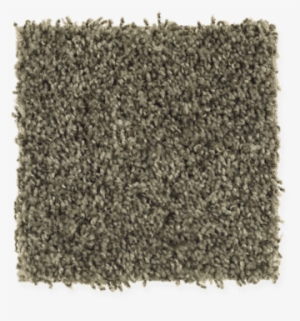 High Seas - Ivy Border - Color #1104747