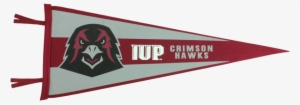 Pennant, Hawk Head & Iup Monogram - The Co-op Store #1105713