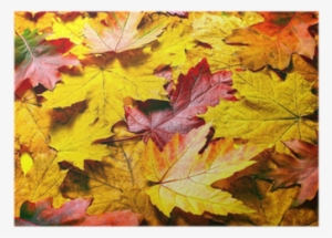 Photography #1105809