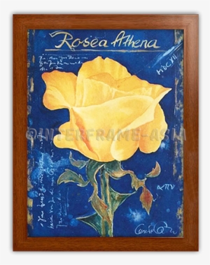 Prevnext - Artland Wand Bild Cesare Carra Botanik Blumen Rose #1106051