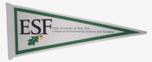 Pennant - Pennant - Pennant - Suny Esf #1106190
