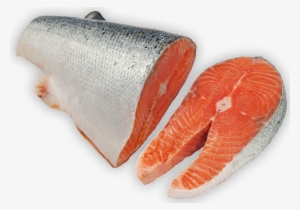 Fresh Fish Salmon Quick View - Fresh Sliced Fish #1106317