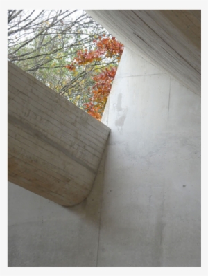 Texture And Context - Plywood #1106731