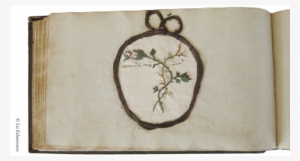 Cross-stitch #1108089