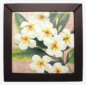Framed - Hawaiian Gift Bag Medium Plumeria Notes #1109201