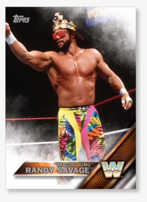 2016 Topps Wwe Base Cards Topps #1110403