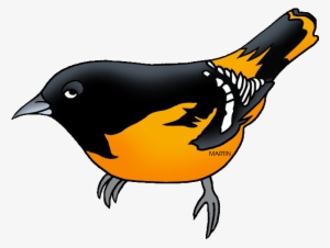 Martin Bird Clip Art Cliparts - State Bird For Maryland #1110435