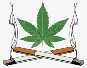 "marijuana And Tobacco Treatment Study" - Dont Do Drugs Poster #1112390