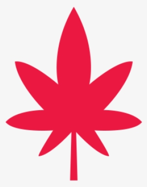 Who's Really Using Marijuana In Co - Weed Leaf Icon #1112412