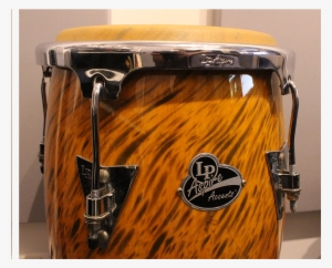 Aspire Conga Audio Animals Ltd Png Aspire Conga Drums - Conga #1112612