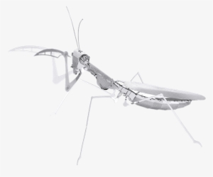 Metal Erath Bugs - Metal Earth Insects #1113241