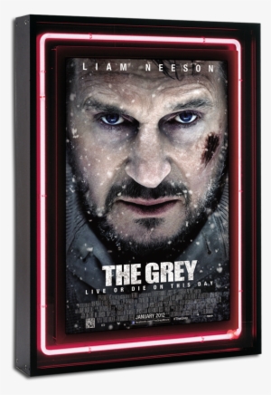 Neon Series - Grey #1113487