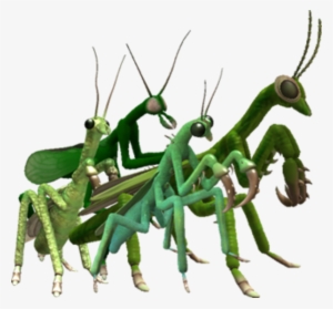 Spore Insect #1113491