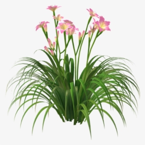 Photo B1d9cbaa A1ec D38c C9c2 A4bed717c613 Zps588875d9 - Flower #1113706