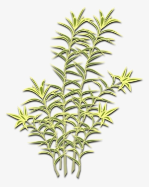 Computer Icons Symbol Cartoon Line Art - Dracaena #1113816