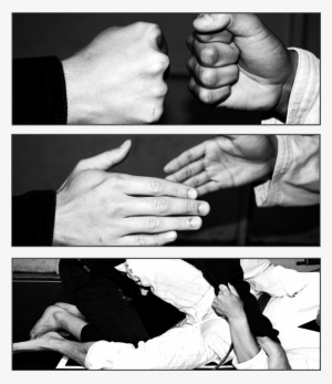 Jiu Jitsu's Standard Friendly Roll Initiation To The - Paper #1114111