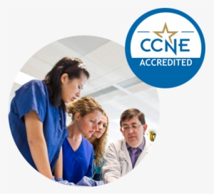 The Bsn, Msn, Dnp And Post-graduate Aprn Certificate - Commission On Collegiate Nursing Education #1114421