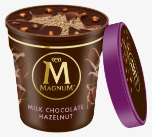 Magnum Ice Cream Pints #1114760