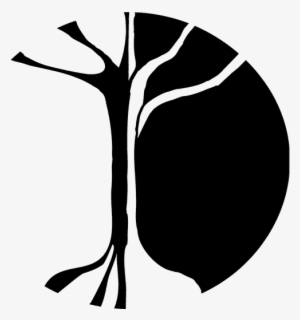 Chinese 5 Element System - Chemical Element #1114788
